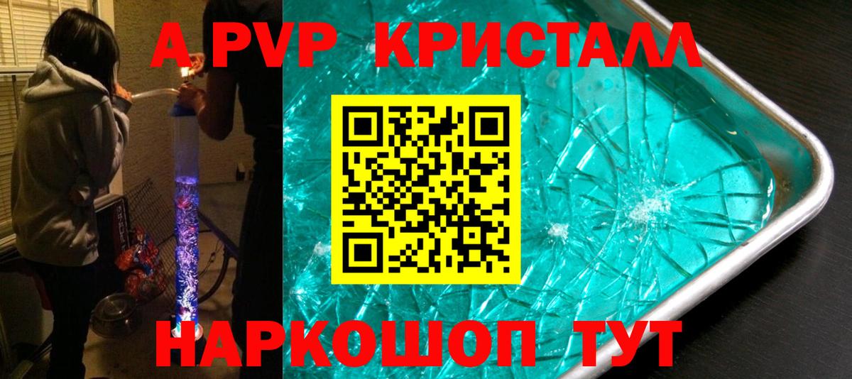 Alfa_PVP СК Курчалой